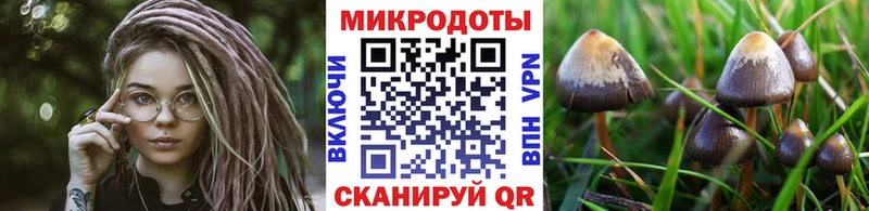 Галлюциногенные грибы GOLDEN TEACHER Нязепетровск