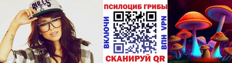 где можно купить Нязепетровск Галлюциногенные грибы прущие грибы